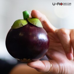 191106_MANGOSTEEN (1)